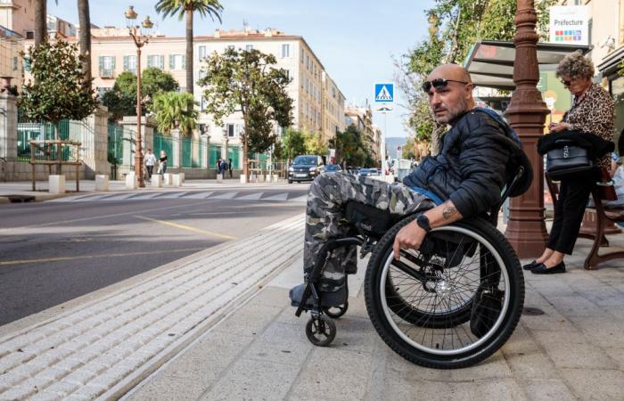 l’handicap APF Francia deplora “molti punti neri”