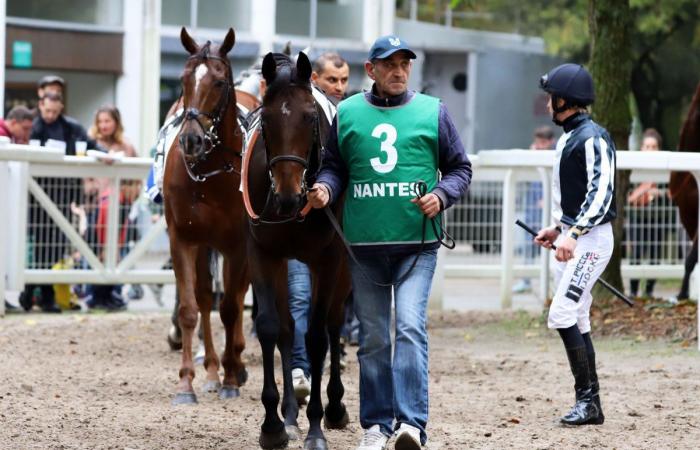 Rashford, Le Riskel, Color Ritano: tutto sull'incontro del Grand Prix de Nantes Défi du Galop