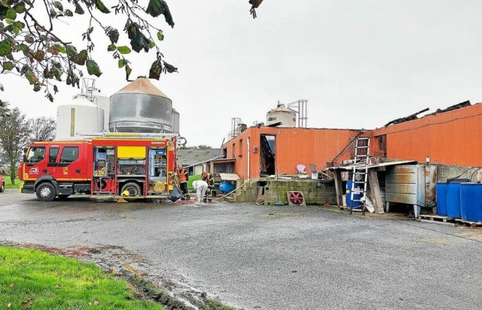 A Lamballe-Armor, 2.000 suinetti e 90 scrofe muoiono in un incendio in un allevamento