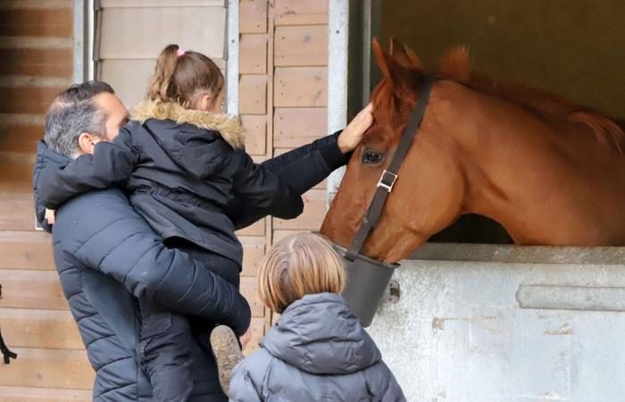 Rashford, Le Riskel, Color Ritano: tutto sull'incontro del Grand Prix de Nantes Défi du Galop