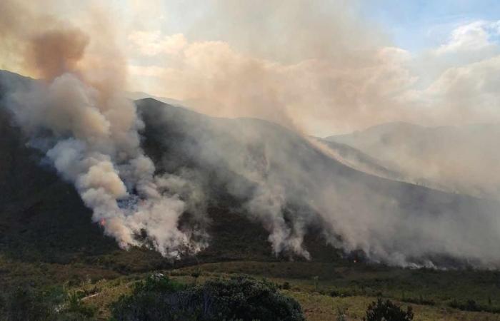 scattato il piano “incendi boschivi” dell’ORSEC