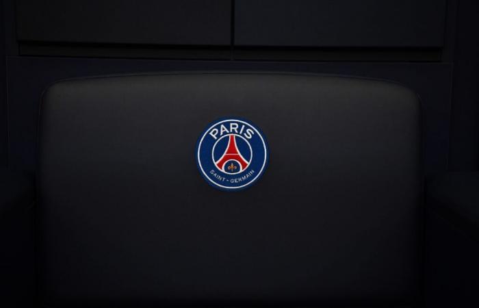 Mercato: un miliardario annuncia il verdetto per questo trasferimento XXL, il PSG lo adorerà