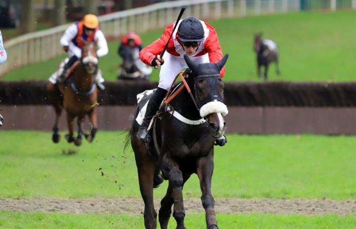 Rashford, Le Riskel, Color Ritano: tutto sull'incontro del Grand Prix de Nantes Défi du Galop