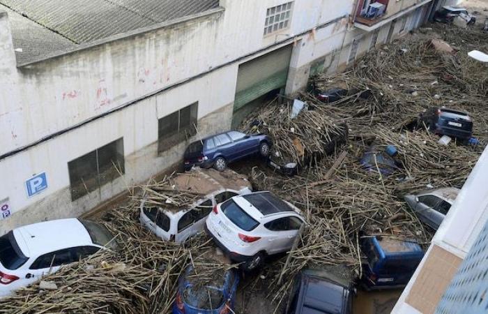 Negli occhi di Ivanoh: Valencia, valigia rossa e idrante