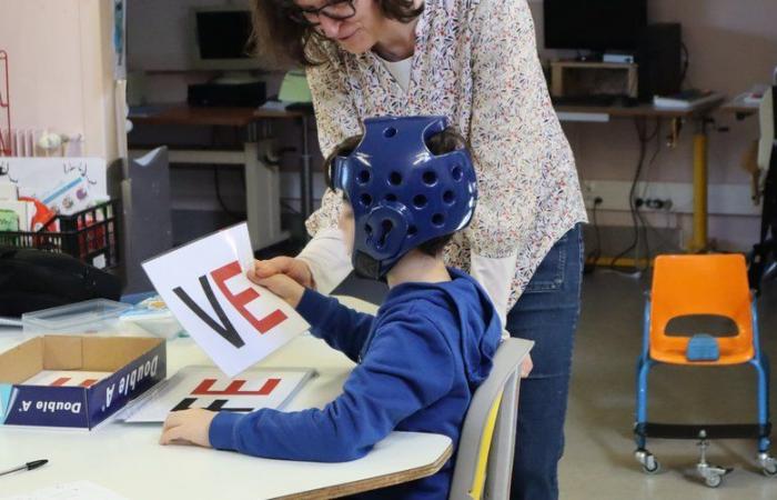 Professioni di sostegno in evidenza all'Aveyron dal 4 all'8 novembre