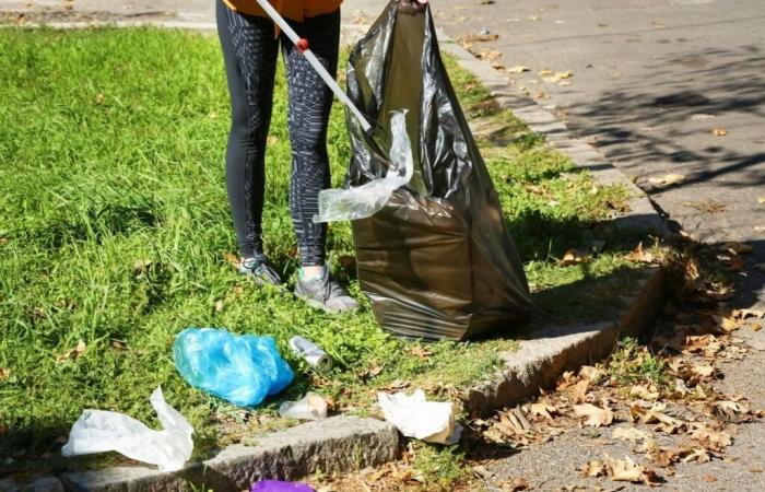 quali sono i 10 principali rifiuti presenti in natura in Francia?