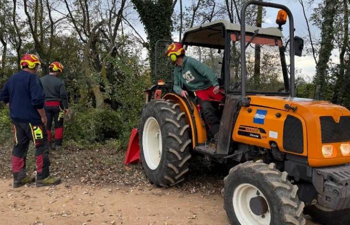 Agglo Hérault Méditerranée – Prevenzione delle inondazioni: più di 10 tonnellate di rami rimossi dai corsi d'acqua