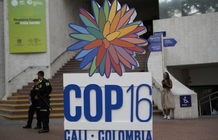 L’esito della COP16 sulla biodiversità diventa più chiaro a Cali