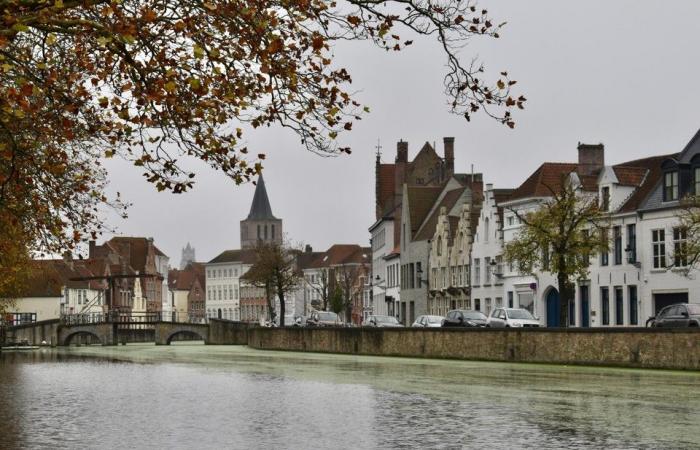 Strato galleggiante verde sul Reien: “Ma nessun pericolo per l’uomo e gli animali” (Bruges)