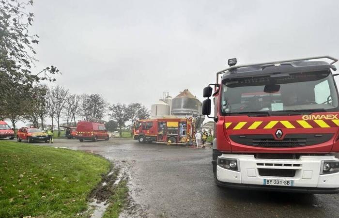 2.000 suinetti e 90 scrofe uccisi… Cosa sappiamo dell'incendio in una fattoria della Côtes-d'Armor