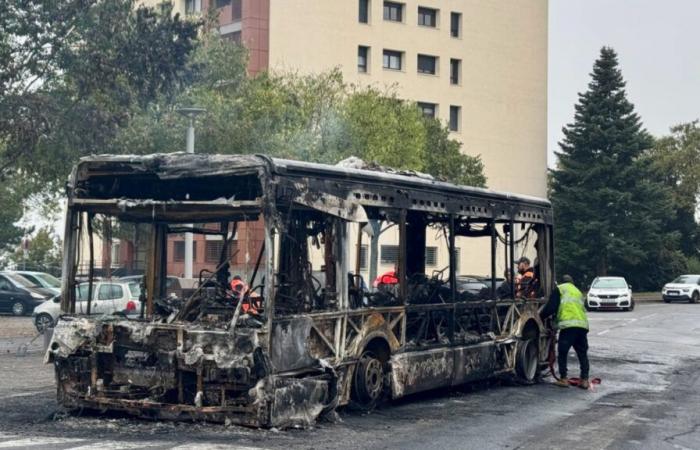 nessun autobus nella zona fino a metà novembre