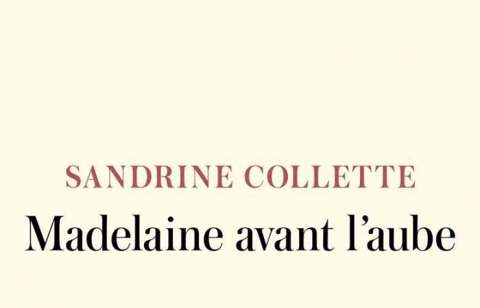 Cronaca letteraria di Jean-Rémi Barland. Sandrine Collette, nella finale del Prix Goncourt 2024, propone con “Madelaine avant l’aube” un magnifico inno ai legami familiari