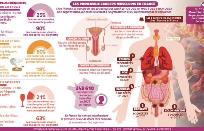 “Particelle 10mila volte più piccole di un granello di sabbia contro il cancro alla prostata”: a Montpellier la corsa per una nuova cura