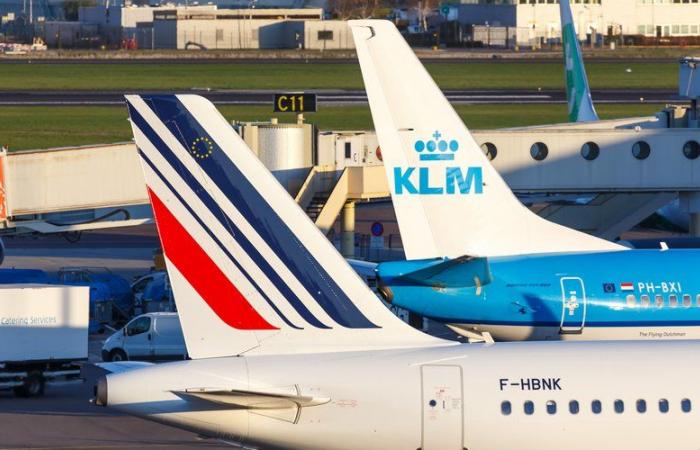 I prezzi dei biglietti aerei Air France-KLM aumenteranno dal 1° gennaio per anticipare l'aumento delle tasse previsto dal governo