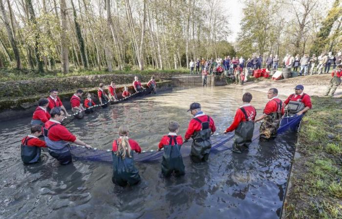 a Saint-Maigrin, uno stagno vuoto e pesce freschissimo da acchiappare