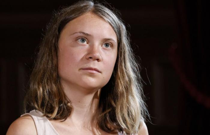 Elezioni presidenziali Usa: per Greta Thunberg Trump è “più pericoloso”, ma Harris ha “le mani sporche di sangue”