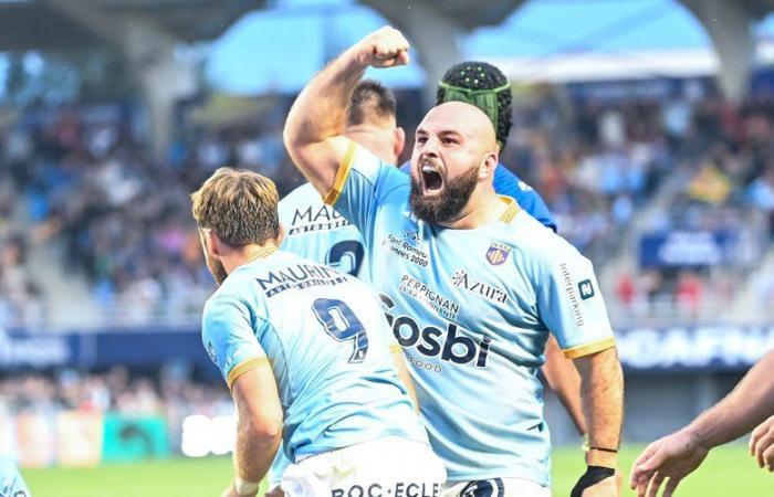 Top 14 – Il Perpignan vince contro Vannes e si allontana dalla zona rossa