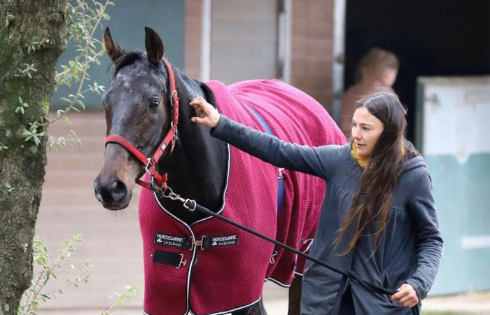 Rashford, Le Riskel, Color Ritano: tutto sull'incontro del Grand Prix de Nantes Défi du Galop