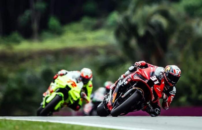 MotoGP, Malesia J2, Pedro Acosta (GASGAS/Q13-S9): “Non posso correre così, dobbiamo tornare indietro”