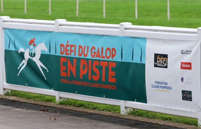 Rashford, Le Riskel, Color Ritano: tutto sull'incontro del Grand Prix de Nantes Défi du Galop