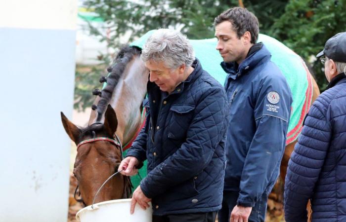 Rashford, Le Riskel, Color Ritano: tutto sull'incontro del Grand Prix de Nantes Défi du Galop