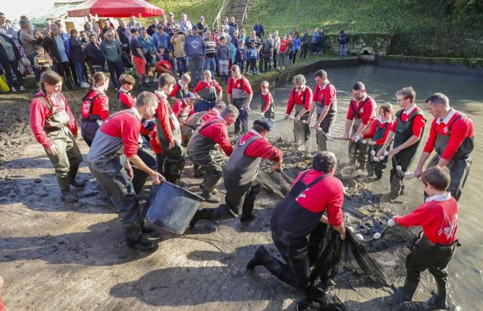 a Saint-Maigrin, uno stagno vuoto e pesce freschissimo da acchiappare