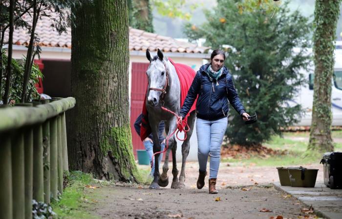 Rashford, Le Riskel, Color Ritano: tutto sull'incontro del Grand Prix de Nantes Défi du Galop