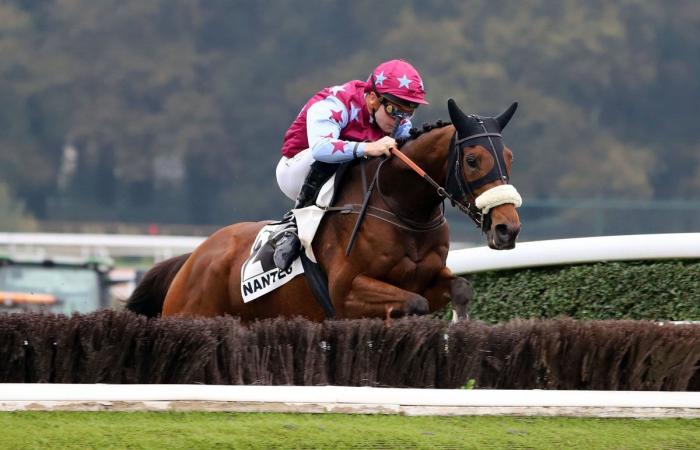 Rashford, Le Riskel, Color Ritano: tutto sull'incontro del Grand Prix de Nantes Défi du Galop