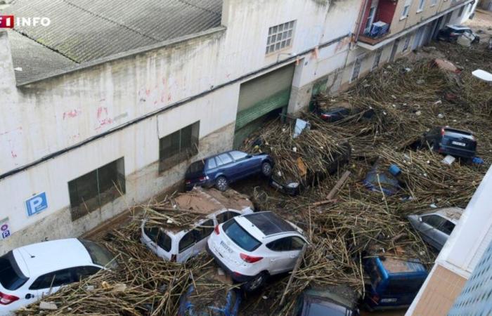 Inondazioni in Spagna: come Valencia deviò il suo fiume 50 anni fa per proteggere il centro della città