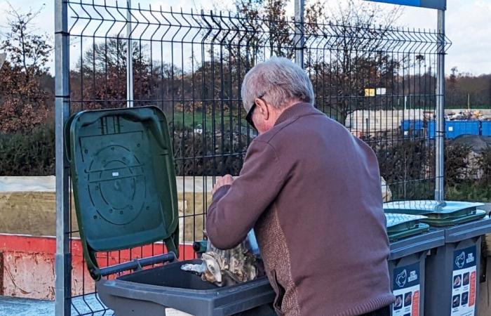 una raccolta di conchiglie in sette centri di riciclaggio