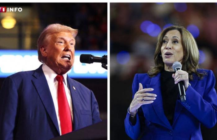 Elezioni presidenziali americane: Donald Trump o Kamala Harris, cosa dicono i sondaggi sul D-2?