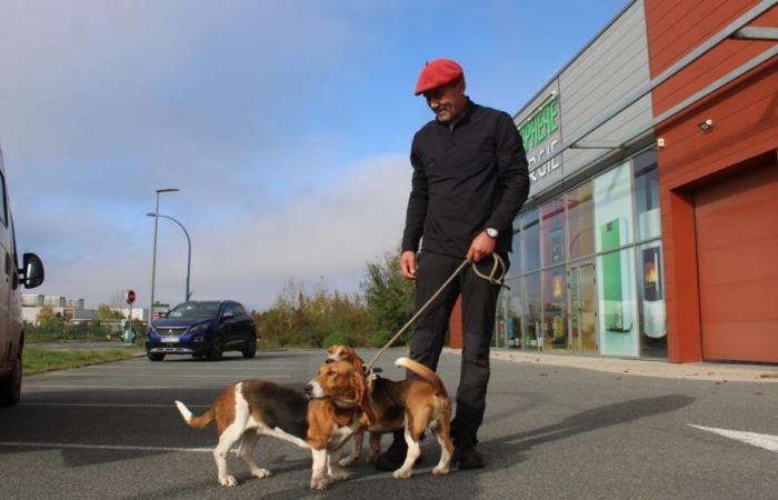 cinque cani da caccia rubati ritrovati alla periferia di Niort