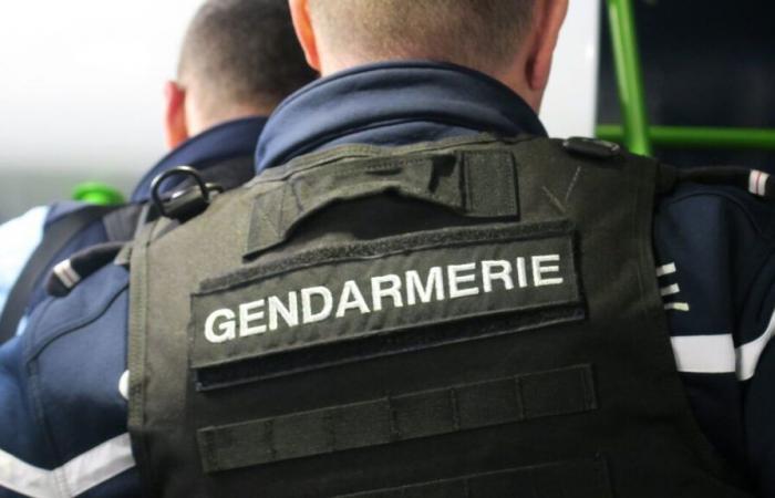 “Dovevamo impedire che si organizzassero fin dall'inizio”: nell'Oise, i gendarmi interrompono un rave party