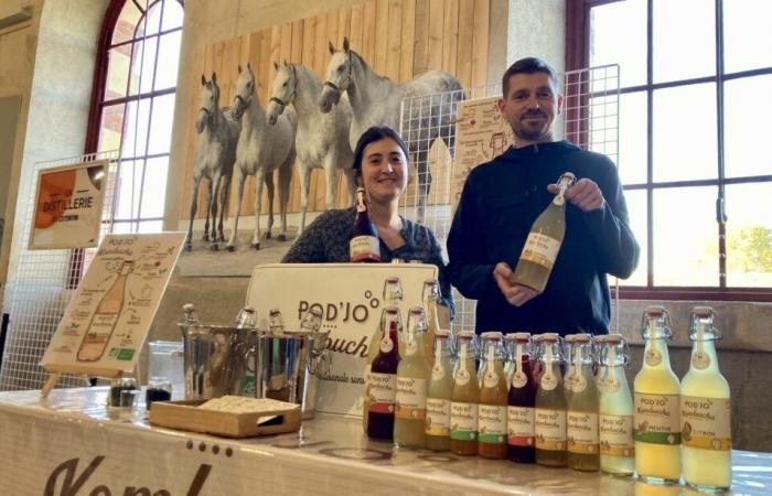 Pauline e Jocelyn preparano il kombucha, una bevanda analcolica a base di tè, a La Manche