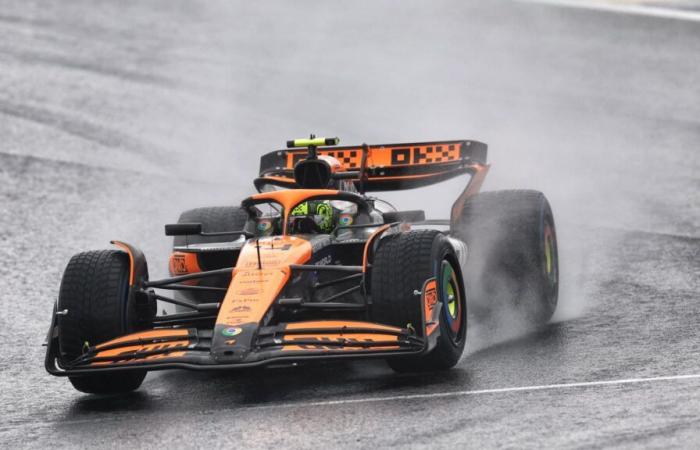 segui in diretta il Gran Premio del Brasile con Lando Norris in pole position