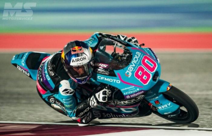 Risultati Moto3 del Gran Premio motociclistico della Malesia 2024 a Sepang