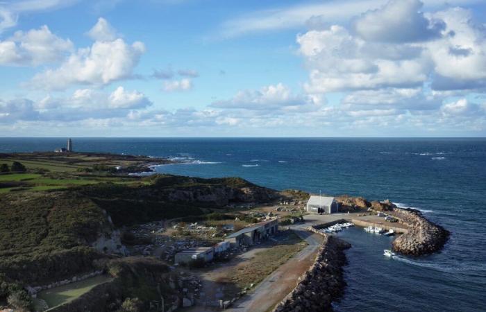 Due resti di pecore galleggianti in questo porto del Cotentin