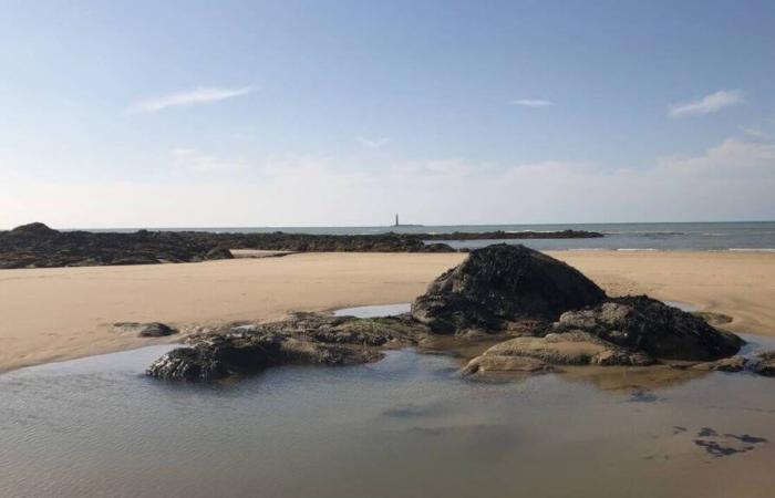 Vendée Globe 2024. Pulizia della spiaggia di Paracou organizzata questo lunedì con skipper