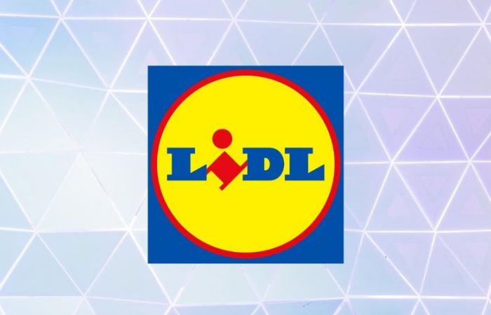 Questi 3 prodotti Ernesto stanno facendo scalpore alla Lidl e visti i loro prezzi capiamo il perché