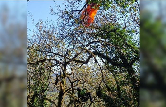 I vigili del fuoco della Dordogna salvano un parapendio bloccato su un albero alto cinque metri