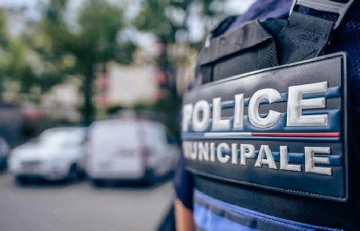 Il Pontetto. Fugge durante un controllo, la polizia scopre delle armi nella sua auto