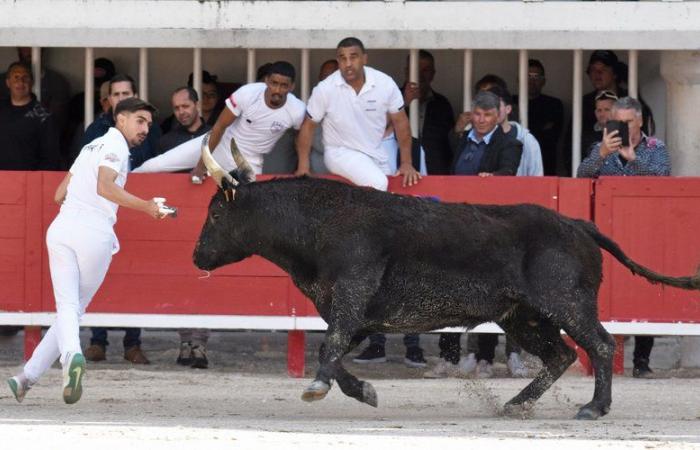 Suspense e tori “d'oro” per la 40esima finale del Trofeo Pescalune