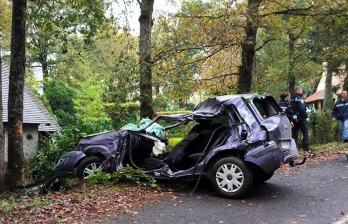 Due giovani vigili del fuoco muoiono in un incidente stradale vicino a Vendôme