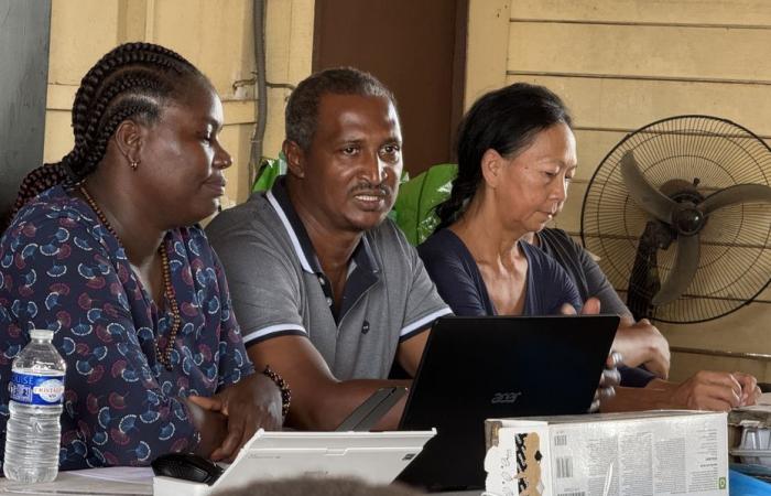 Gli agricoltori della Guyana prendono di mira la Camera dell’Agricoltura per difendere il loro futuro