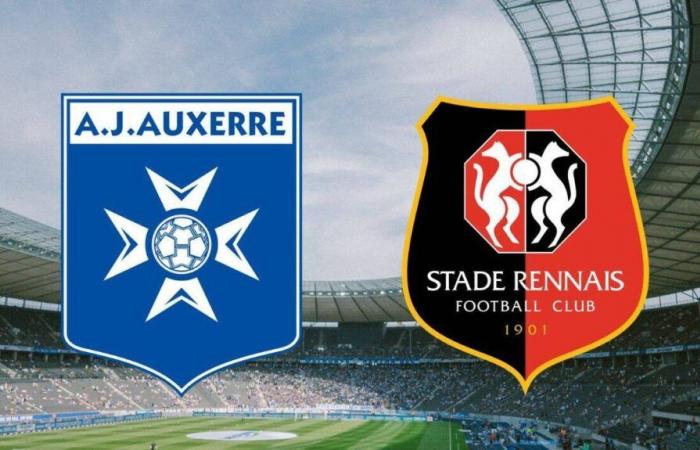 Le Havre – Montpellier: su quale canale e a che ora vedere in diretta la partita di Ligue 1?