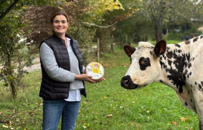 questa azienda agricola riceve tre medaglie per il suo formaggio biologico a latte crudo