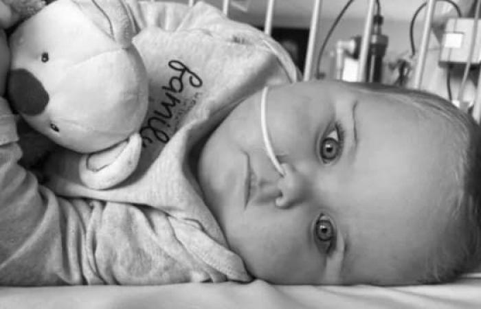 Mathéo, 2 anni, beneficia di un doppio trapianto di fegato e rene, il primo in Francia per un bambino della sua età