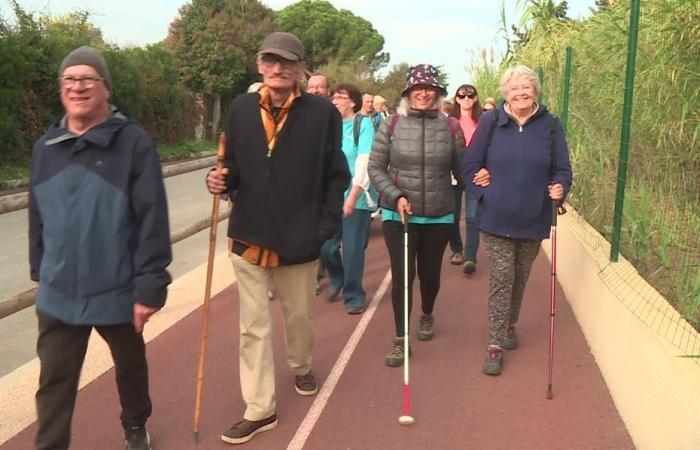 colpisce 30.000 persone in Francia, una passeggiata per aiutare la ricerca sulla retinite pigmentosa