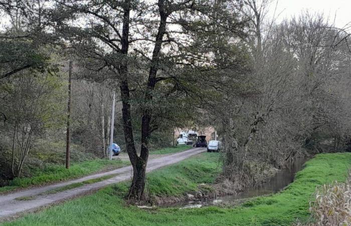 Un cacciatore trovato morto in Dordogna con una ferita addominale durante una battuta di caccia al cinghiale