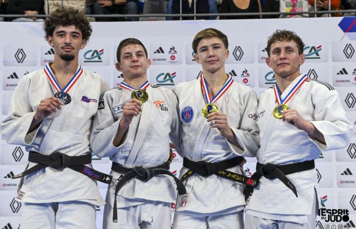 Campionati francesi seniores di 1a divisione 2024